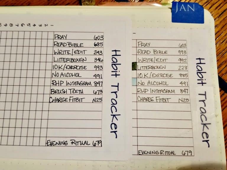 Habit tracker in my Bullet Journal - Redhead Paper