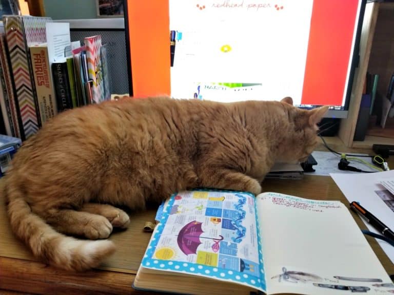 An orange cat, Eustace, lies on a desktop over a Bullet Journal spread.