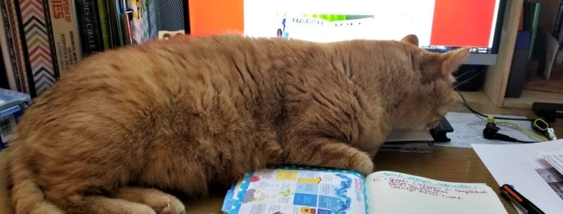 An orange cat, Eustace, lies on a desktop over a Bullet Journal spread.