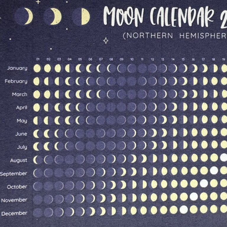 A sticker with a moon phase chart for 2025 in the northern hemisphere