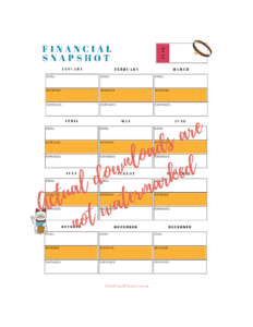 Printable Financial Snapshot worksheet from the Crazy Cat Lady Planner Kit